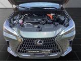 LEXUS NX 450h + Executive HEAD-UP+MEMORY+PANO