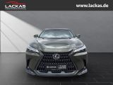 LEXUS NX 350 h 243 PS Executive Inter ieur Paket + Tec