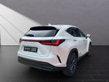 LEXUS NX 350h h 243 PS Executive *15-J ahre Garantie* 