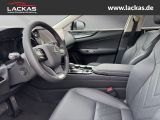 LEXUS NX 350h BUSINESS*CONNECT-MY25* NX 350 h BUSINESS