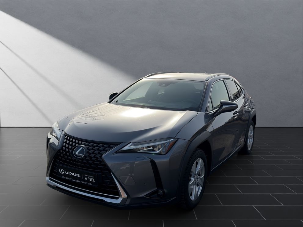 LEXUS UX 250 h*KAMERA*