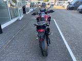 TRIUMPH Tiger 1200 GT PRO MY25 Kundenvorteil -2000?