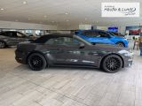 FORD Mustang GT Convertible 5.0 Ti-VCT V8 EU6d-T Faltdach Navi Leder Soundsystem B & O Klimasitze