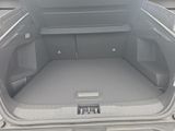RENAULT Arkana Esprit Alpine Mild-Hybrid 160 BOSE LHZ SHZ PDC