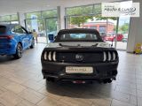 FORD Mustang GT Convertible 5.0 Ti-VCT V8 EU6d-T Faltdach Navi Leder Soundsystem B & O Klimasitze