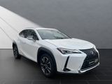 LEXUS UX 250h*F-Sport D.*1HD*SHZ*NAVI*CARPLAY*