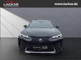 LEXUS UX 250h STYLE EDITION*LED*KAM* CARPLAY*GARANTIE