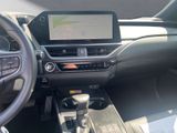 LEXUS UX 250 h*EXECUTIVE*HUD*LEDER*SCHIEBEDACH