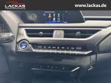 LEXUS UX 250h STYLE EDITION*LED*KAM* CARPLAY*GARANTIE