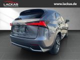 LEXUS NX300H Luxury 4x4 Panorama