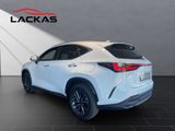 LEXUS NX 450h Executive,PANO,Interieur +Technik Paket