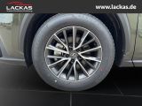 LEXUS NX 350h Executive interieur Paket +Technologie P