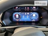 FORD Tourneo Connect Titanium ACC Rückfahrkam. Navi PDCv+h