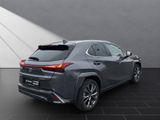 LEXUS UX 250 h F SPORT