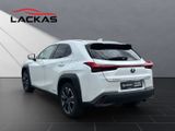 LEXUS UX 250h*STYLE*1HD*CARPLAY*SHZ* 15J-GARANTIE*