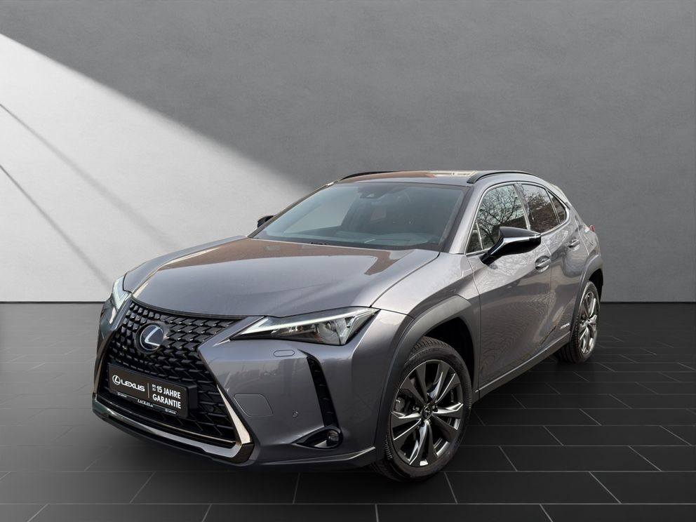 LEXUS UX 250H*SCHECKHEFT*TOTW*LEDER*