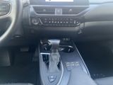 LEXUS UX 250h F-SPORT Design ALLWETTER+1.Hand