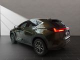 LEXUS NX 450h + Executive Line NX 450h+ Executive Line