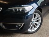 BMW 220i Luxury Line Leder Klima PDC 17 LM