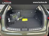 LEXUS NX 350h h 243 PS *Executive* Int erieur Paket + 