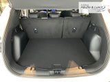 FORD Kuga Titanium Navi Rückfahrkam. Klimaautom PDCv+h