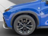 LEXUS NX 450h 450 h+ F-Sport, AHK