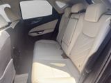 LEXUS NX 350h 350h Executive Line ieur Paket + Technol