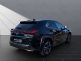 LEXUS UX 250h Style SHZ Kamera Alu