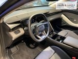 FORD Explorer RWD ACC HUD Rückfahrkam. El. Heckklappe