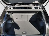 VW Tiguan R-Line Schiebedach el.