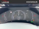 LEXUS NX 350h h 243 PS Luxury E-Four - Allradantrieb p