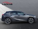 LEXUS UX 250 h Executive Line
