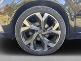 RENAULT Austral Esp. Alp.+NAV+LHZ+SHZ+CAM+el.Heckklappe+