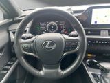 LEXUS UX 250h*F-SPORT-D*1.HD*ALLW.REIF** 15J-GARANTIE*