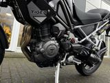 TRIUMPH Tiger 1200 GT PRO MY26 Adaptives Fahrwerk