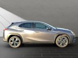 LEXUS UX 250 h STYLE Edition 15J-GARANTIE
