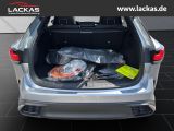 LEXUS RX 450 h +E-FOUR*F-SPORT*DESIGN *TOP*PANO*HUD*36