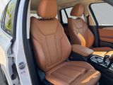 BMW X3 xDrive 30e LC Prof HUD HiFI LED Sportsitze