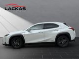 LEXUS UX 250h *lenkH*sitzH*Kamera*