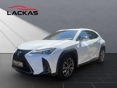 LEXUS UX 250 h F-Sport Design NAVI+CARPLAY+LENKRADH.