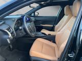 LEXUS UX 250h*EXECUTIVE*PANO*PREMIUM*1HD*PANO* HUD*