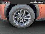LEXUS LBX *Basis*1.5*KOMFORT-PAK.* S 15J-GARANTIE