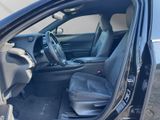 LEXUS UX 250h Style SHZ Kamera Alu