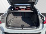 BMW X4 M40i Ad.LED ACC Pano H/K ParkAssistent AHK