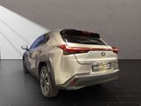 LEXUS UX 250h*STYLE*1HAND*CARPLAY*MwSt*
