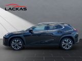 LEXUS UX 250h STYLE EDITION 1HD+CARPLAY+NAVI+PDC+LED