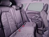 AUDI Q5 TDI quattro S-tronic ACC RFK Parkassistent