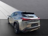 LEXUS UX 250h*EXECUTIVE*PREM* SCHIEBED.*15J-GARANTIE
