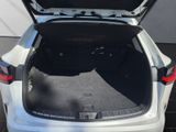 LEXUS NX 350h (AZ20) 350 h Business Line