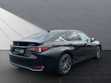 LEXUS ES 300 300h Business Line